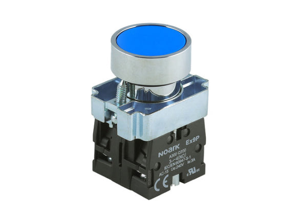 flush blue pushbutton