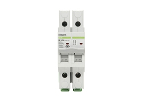 Noark B1N:Miniature Circuit Breakers-B1N2D60