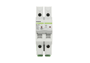 Noark B1N:Miniature Circuit Breakers-B1N2D25